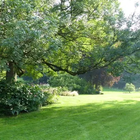 Le Jardin Du Rossignol * Willeman