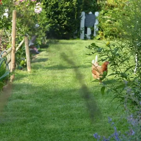 Homestay Le Jardin Du Rossignol